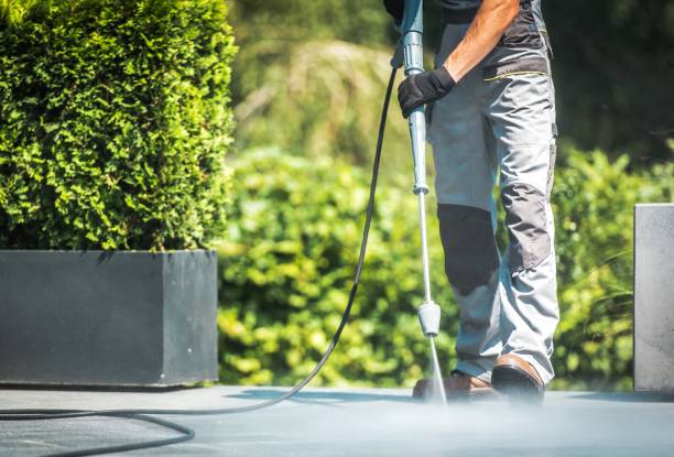 Best Patio and Deck Pressure Washing  in Kentwood, MI
