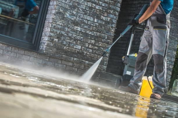 Best Spring Cleaning  in Kentwood, MI